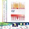 PAINT BRUSHES - AC - ART SUPPLY BASICS - OIL- HOGHAIR BRISTLES (10 PIECE) 354838